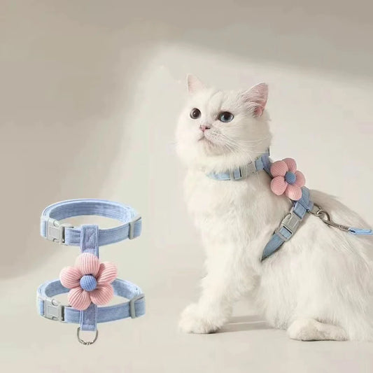 Owner holding leash of cat wearing MeowShelf Petal Stroll outdoor harness.