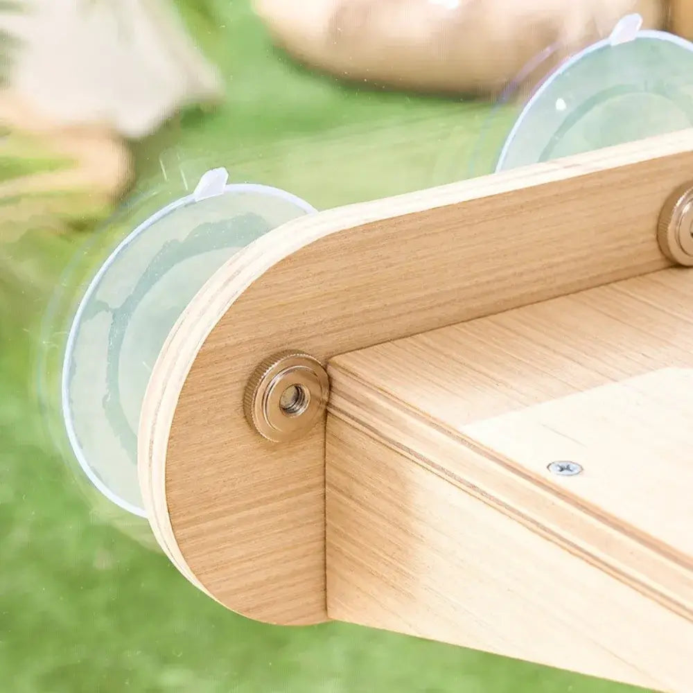 Natural wood and acrylic cat window lounge — close-up of solid wood frame construction