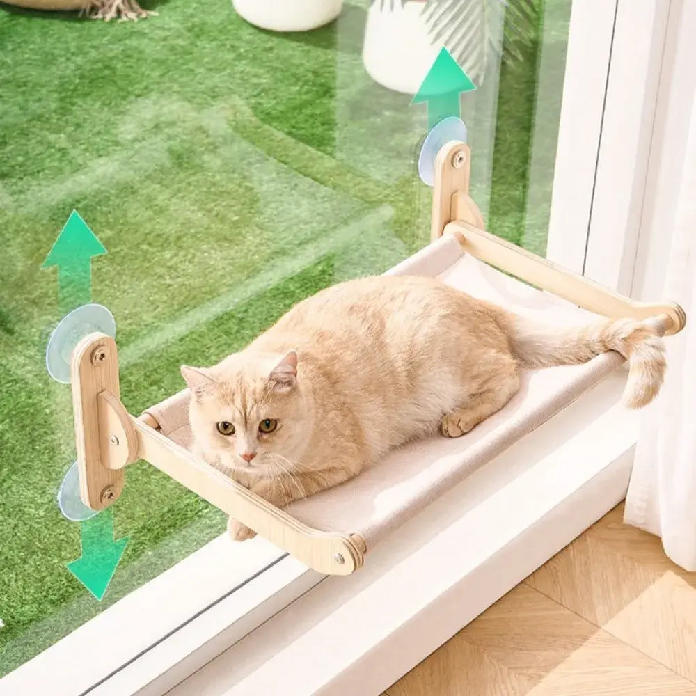 Cat lounging on floating window perch — no-drill acrylic cat shelf for apartments