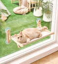 Load image into Gallery viewer, Vista Floating Park cat window perch full set — no-drill acrylic lounge for cats
