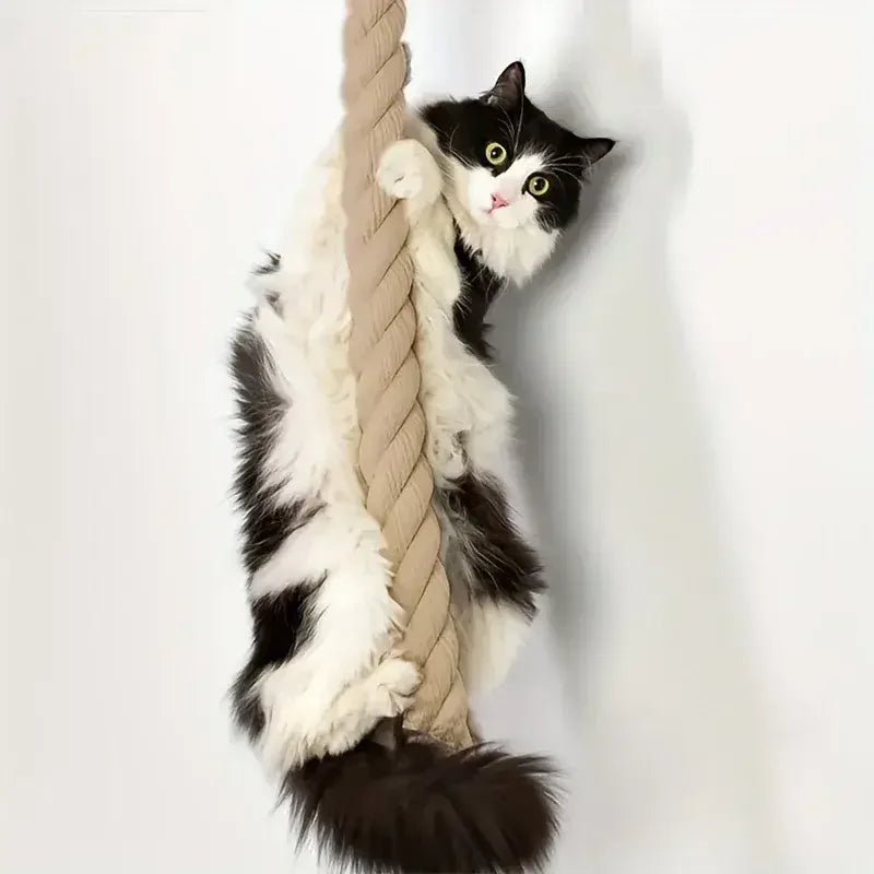 JUTE Climbing Rope in natural jute, front diagonal view of cat climbing interaction on wall-mounted cat shelves.