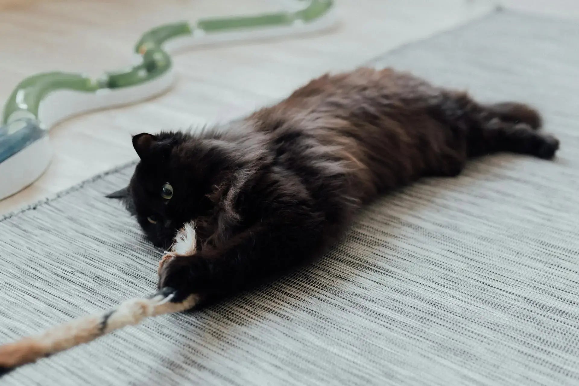 A fluffy black cat lying on a textured rug, playfully grabbing at a rope wand toy with its front paws.