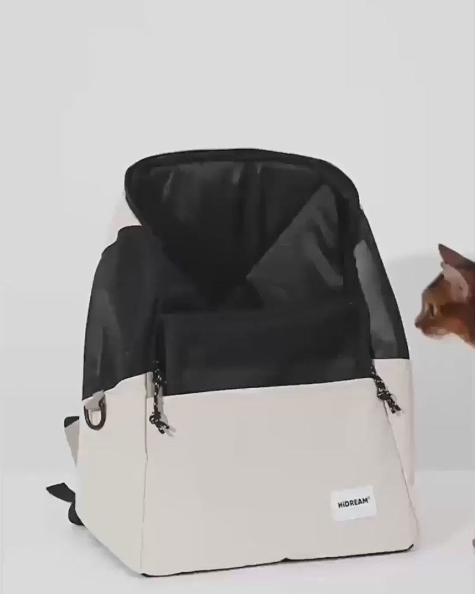 Video of a cat entering into a backpack to start travelling 