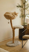 Load and play video in Gallery viewer, Willow Branch Minimalist Cat Perch in real wood, side view of curved trunk and plush top, cat entering the tree.
