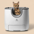 Load image into Gallery viewer, FurooMate Open-Top Smart Litter Box in white, product shot front view of open-top with cat visible, smart litter boxes & enclosures.
