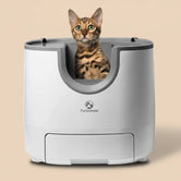 AutoFresh smart self-cleaning litter box open-top — cat inside, auto-scoop odor-free litter box