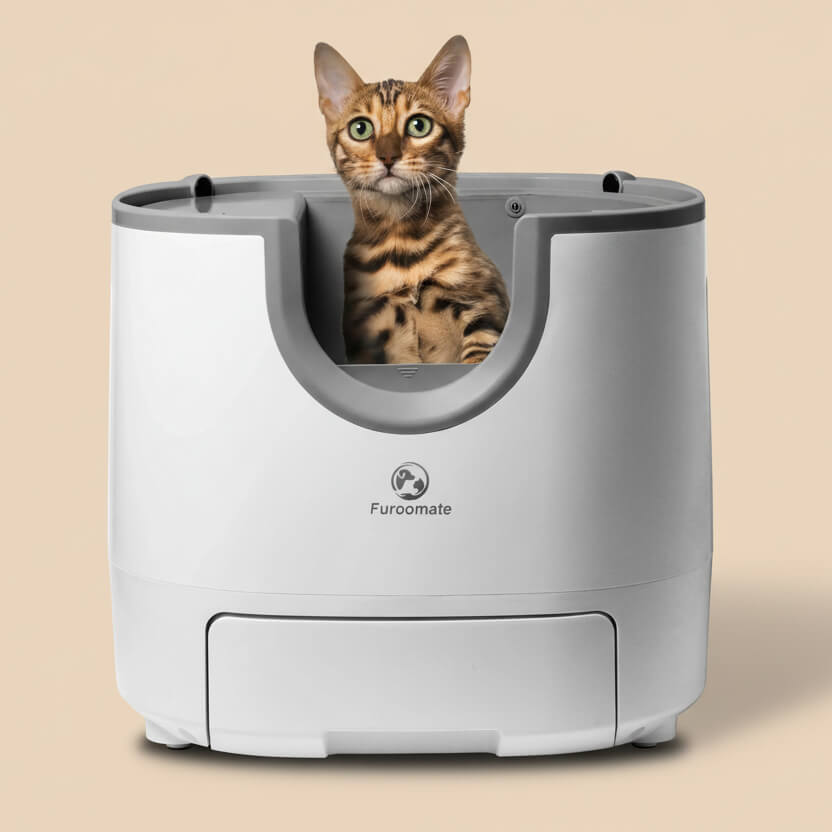 FurooMate Open-Top Smart Litter Box in white, product shot front view of open-top with cat visible, smart litter boxes & enclosures.