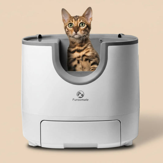 AutoFresh smart self-cleaning litter box open-top — cat inside, auto-scoop odor-free litter box