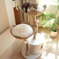 Load image into Gallery viewer, Blossom Villa Woven Flower Cat Tree white condo, top-down view of cat lounging in basket, a hand-woven cat basket perch.
