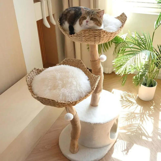 Blossom Villa Woven Flower Cat Tree white condo, top-down view of cat lounging in basket, a hand-woven cat basket perch.