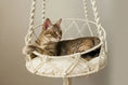 Load image into Gallery viewer, Boho Swing macrame cat hammock with plush cushion — chic tassels, hanging cat bed for boho interiors
