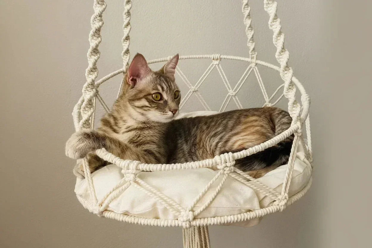 Boho Swing macrame cat hammock with plush cushion — chic tassels, hanging cat bed for boho interiors