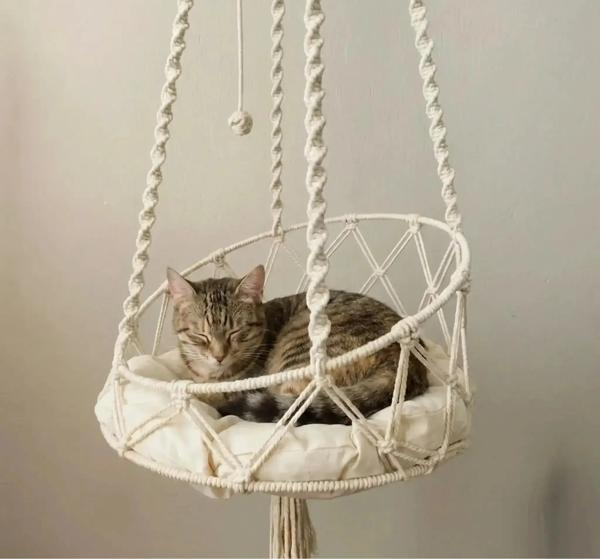 Boho Swing macrame hanging cat hammock in natural cotton — spiral rope wall-mounted boho cat swing