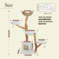 Load image into Gallery viewer, Cloud Forest Cat Tree in natural real wood, product shot detail of cozy condo measurements, a spacious cat house for indoor cats.
