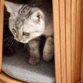 Load image into Gallery viewer, Natural Retreat Mid-Century Modern in cherry wood, inside cubby detail of luxury cat interior, a private luxury cat lounger.
