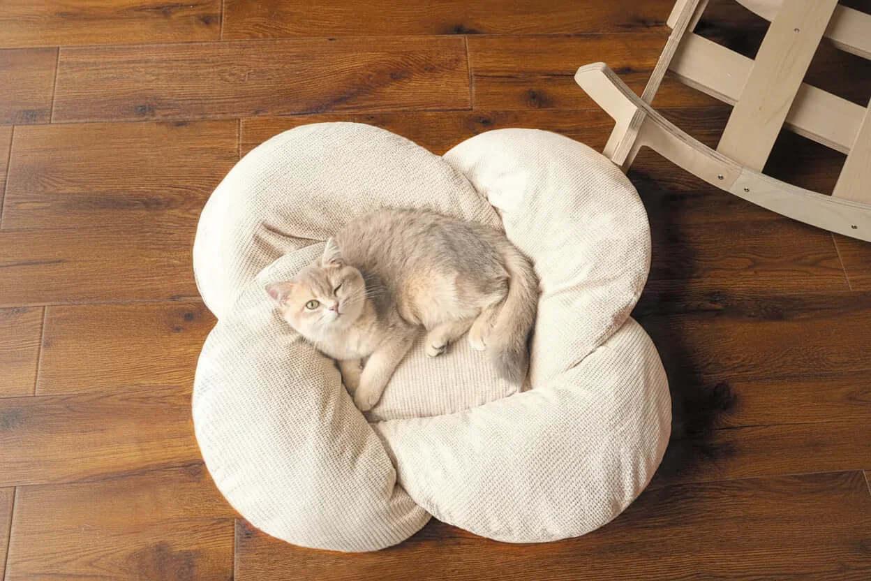 Cloud cat bed top view — Nimbus elevated plush cushion on wood stand, deep comfort for cats