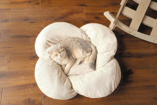 Cloud cat bed top view — Nimbus elevated plush cushion on wood stand, deep comfort for cats