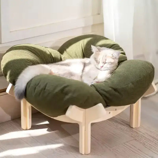 cat-napping-in-sage-green-elevated-cloud-bed-wood-stand