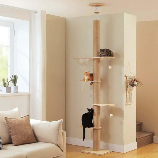Nordic Spire Floor to Ceiling Wood, front angled view of transparent space bowl, a modern cat tower.