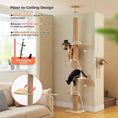 Load image into Gallery viewer, Nordic Spire no-drill tension rod cat tree — rental-friendly floor-to-ceiling tall cat tree
