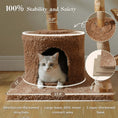 Load image into Gallery viewer, Sequoia Lodge Tree Cat Tower in natural bark-like texture, detail shot of cat on thickened base with cozy cave, a sturdy cat tree for heavy cats.
