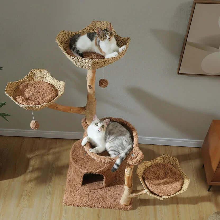 Sequoia Lodge Tree Cat Tower in natural bark-like texture, overhead view of multiple cozy platforms on a spacious large cat tree.