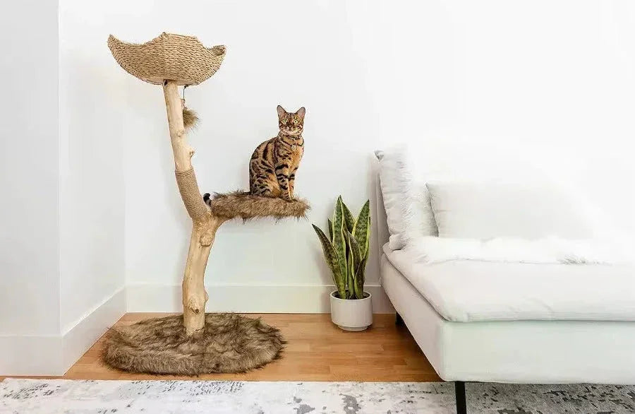 Willow Branch Minimalist Cat Perch in real wood, front view of plush base with shelf, a wooden cat perch that blends with decor.