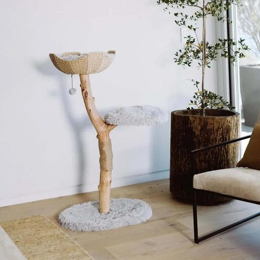 Willow Branch Minimalist Cat Perch in real wood, lifestyle side view of basket top with plush mid-tier, a stylish cat tree for the living room.